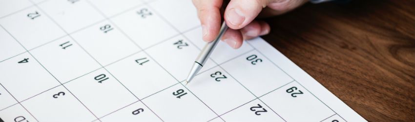 Declarações de Novembro: conheça os prazos e evite atrasos e multas!