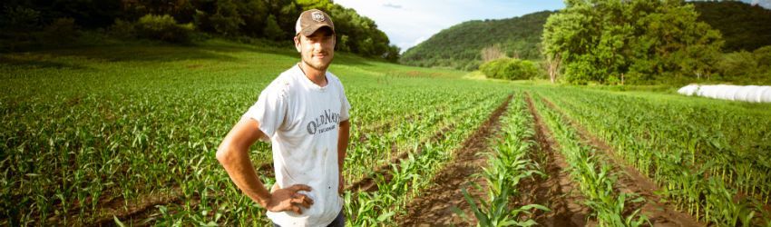 O que é Regime Forfetário de IVA e a quem se aplica?